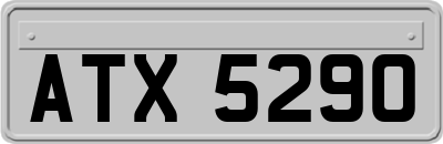 ATX5290