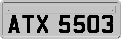 ATX5503