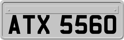 ATX5560