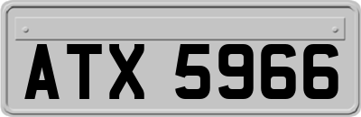 ATX5966