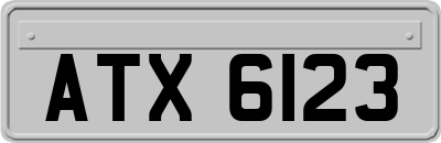 ATX6123