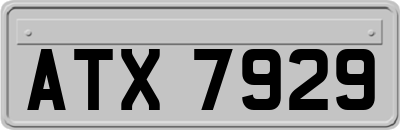 ATX7929