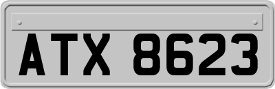 ATX8623