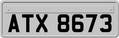 ATX8673