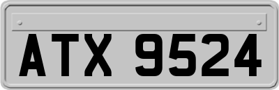 ATX9524
