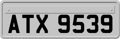 ATX9539