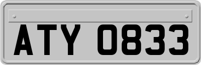 ATY0833