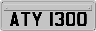 ATY1300