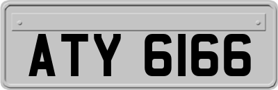 ATY6166