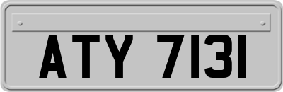 ATY7131