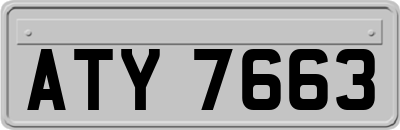 ATY7663