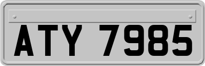 ATY7985