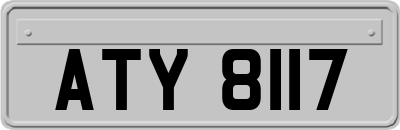 ATY8117