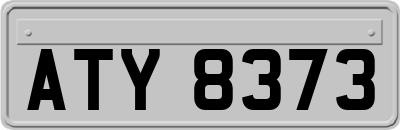 ATY8373