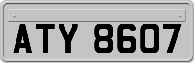 ATY8607