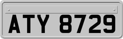 ATY8729