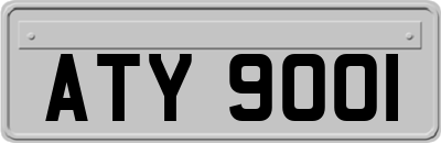 ATY9001