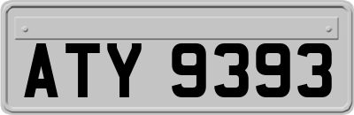 ATY9393