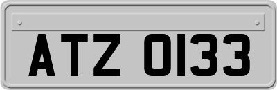 ATZ0133