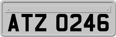 ATZ0246