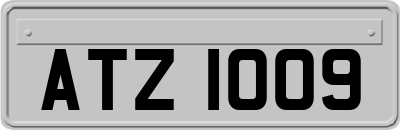 ATZ1009