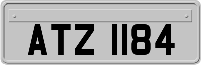 ATZ1184