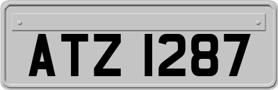 ATZ1287