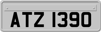 ATZ1390