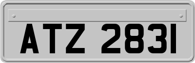 ATZ2831