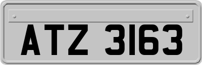 ATZ3163