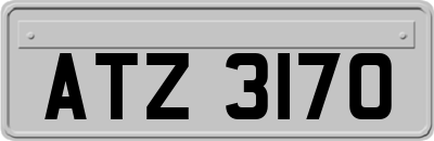 ATZ3170