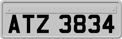 ATZ3834