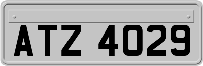 ATZ4029