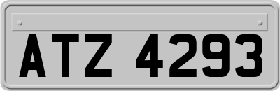 ATZ4293