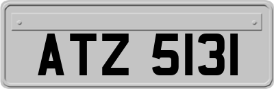 ATZ5131