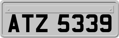 ATZ5339