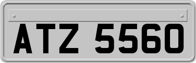 ATZ5560