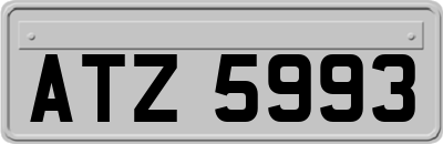 ATZ5993