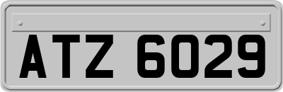 ATZ6029