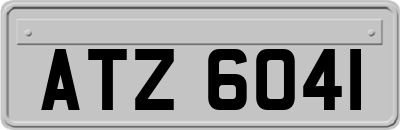 ATZ6041