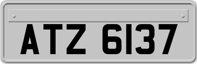 ATZ6137