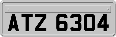ATZ6304