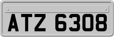 ATZ6308