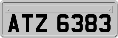 ATZ6383