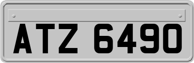 ATZ6490
