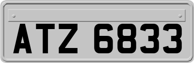 ATZ6833