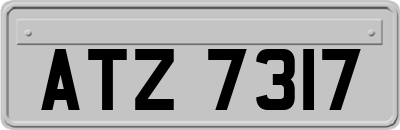 ATZ7317