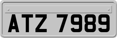 ATZ7989