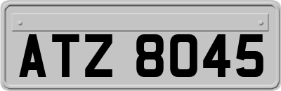 ATZ8045