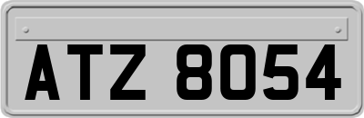 ATZ8054